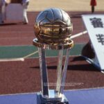 Taça do Mundial 1981