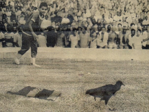 criança olha para o urubu no Maracanã, simbolo do Flamengo